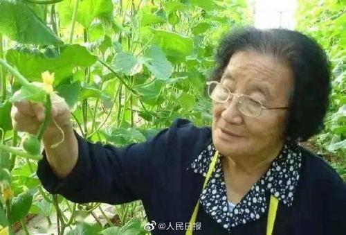 娱乐吃瓜酱甘肃人是谁啊,网络红人的神秘面纱