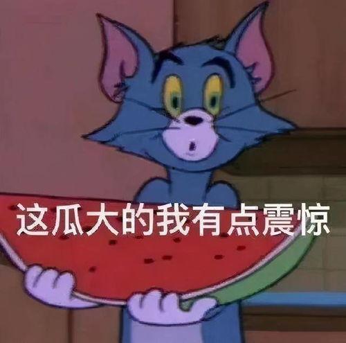 娱乐那些事吃瓜,揭秘“娱乐那些事”吃瓜背后的真相