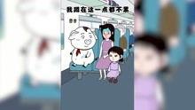 娱乐吃瓜酱猪猪视频大全,猪猪视频大全精彩回顾