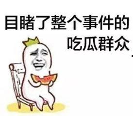 娱乐吃瓜群众冲冲冲,揭秘娱乐圈幕后故事
