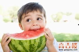 娱乐吃瓜呆头鹅,呆头鹅的趣味生活揭秘