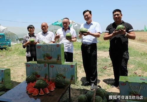 娱乐吃瓜小八哥是谁,网络红人的崛起之路