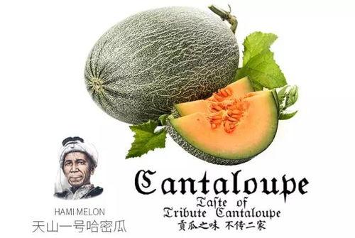 娱乐吃瓜风格是什么意思啊,揭秘“吃瓜群众”的娱乐吃瓜风格