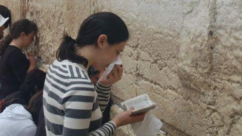 娱乐圈吃瓜猪头,猪头吃瓜事件揭秘