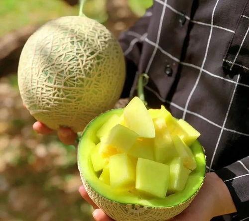 娱乐圈有什么瓜可以吃吗,揭秘明星幕后故事与热点事件