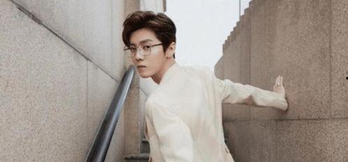 娱乐圈吃瓜李宏毅是谁啊,揭秘他的明星之路