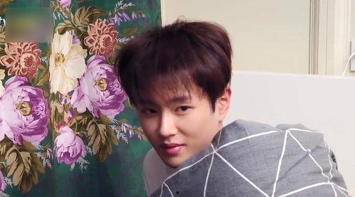 娱乐吃瓜君范丞丞小说,范丞丞的甜蜜瓜田