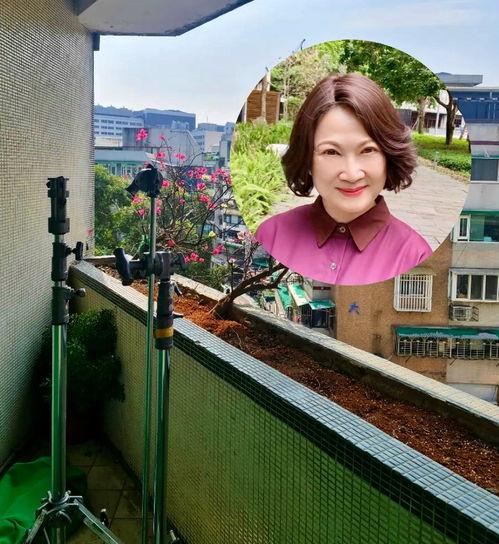 娱乐吃瓜酱台湾