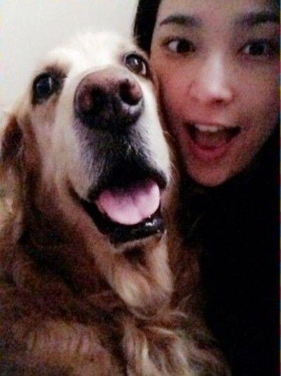 娱乐吃瓜酱人被狗撞