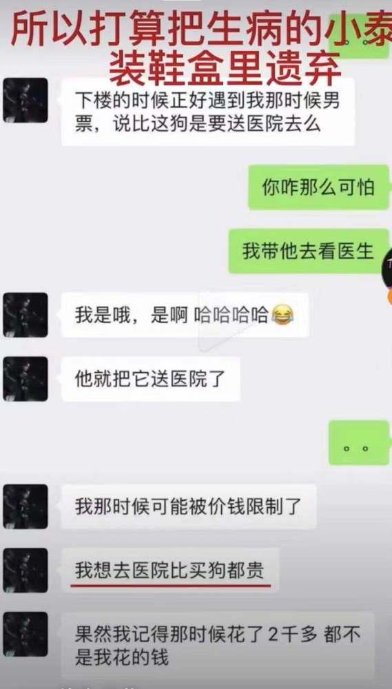 娱乐吃瓜酱聊天梗,吃瓜酱聊天梗背后的故事